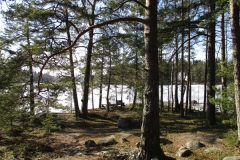 Paratiisisaari